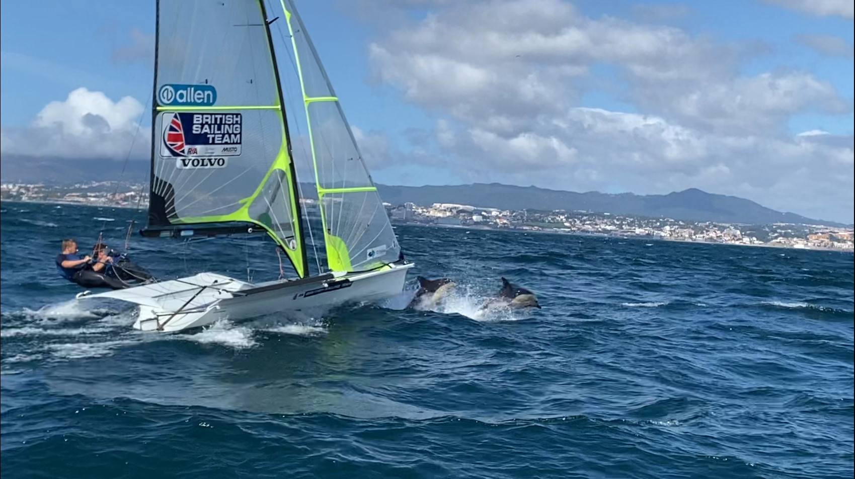 dolphins jump in front of a 49er skiff