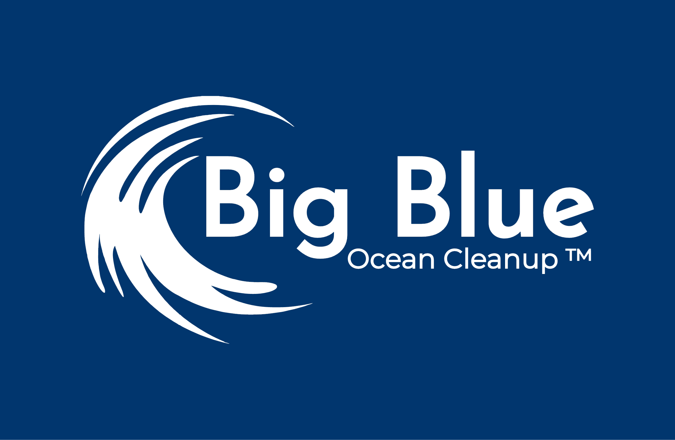 big blue ocean clean up logo